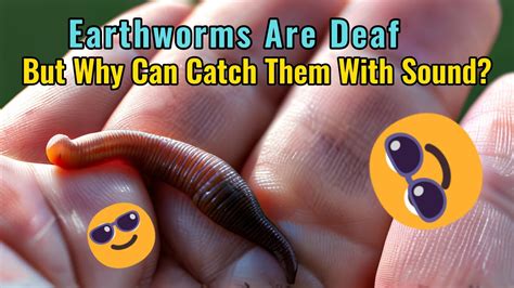 Are earthworms deaf?